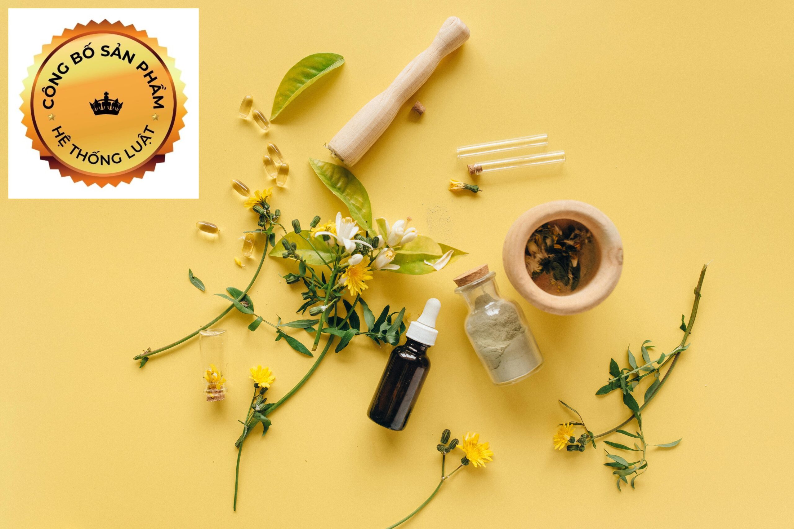 [XÃ ĐẤT MŨI, CÀ MAU] – Gói dịch vụ đăng ký công bố với sản phẩm thực phẩm chức năng mới tại địa điểm xã Đất Mũi, Cà Mau - Ảnh 2