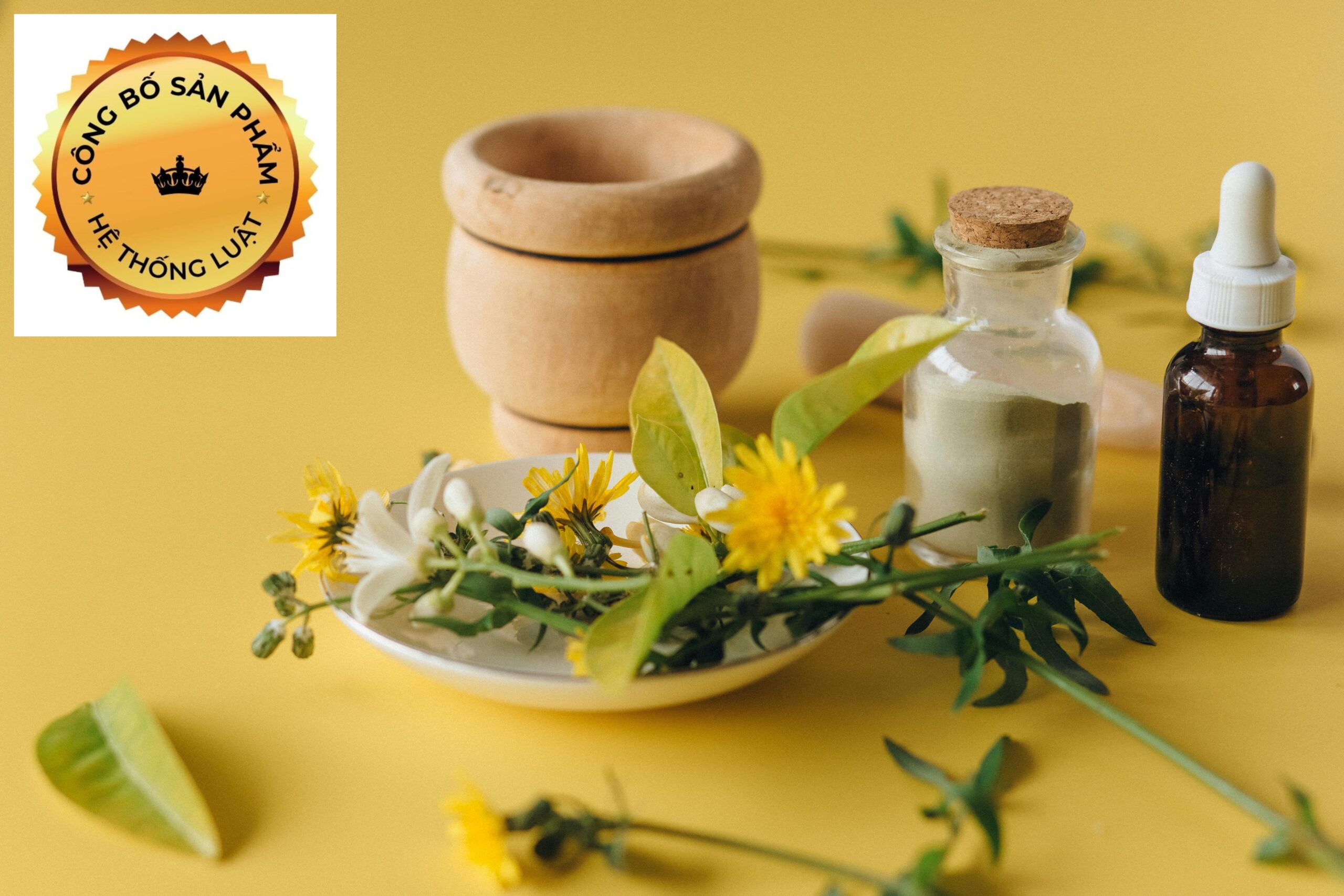 [DICHVUCONGBOSANPHAM] – Dịch vụ đăng ký công bố cho thực phẩm chức năng năm 2025 vùng xã Tân Ân, Cà Mau - Ảnh 2