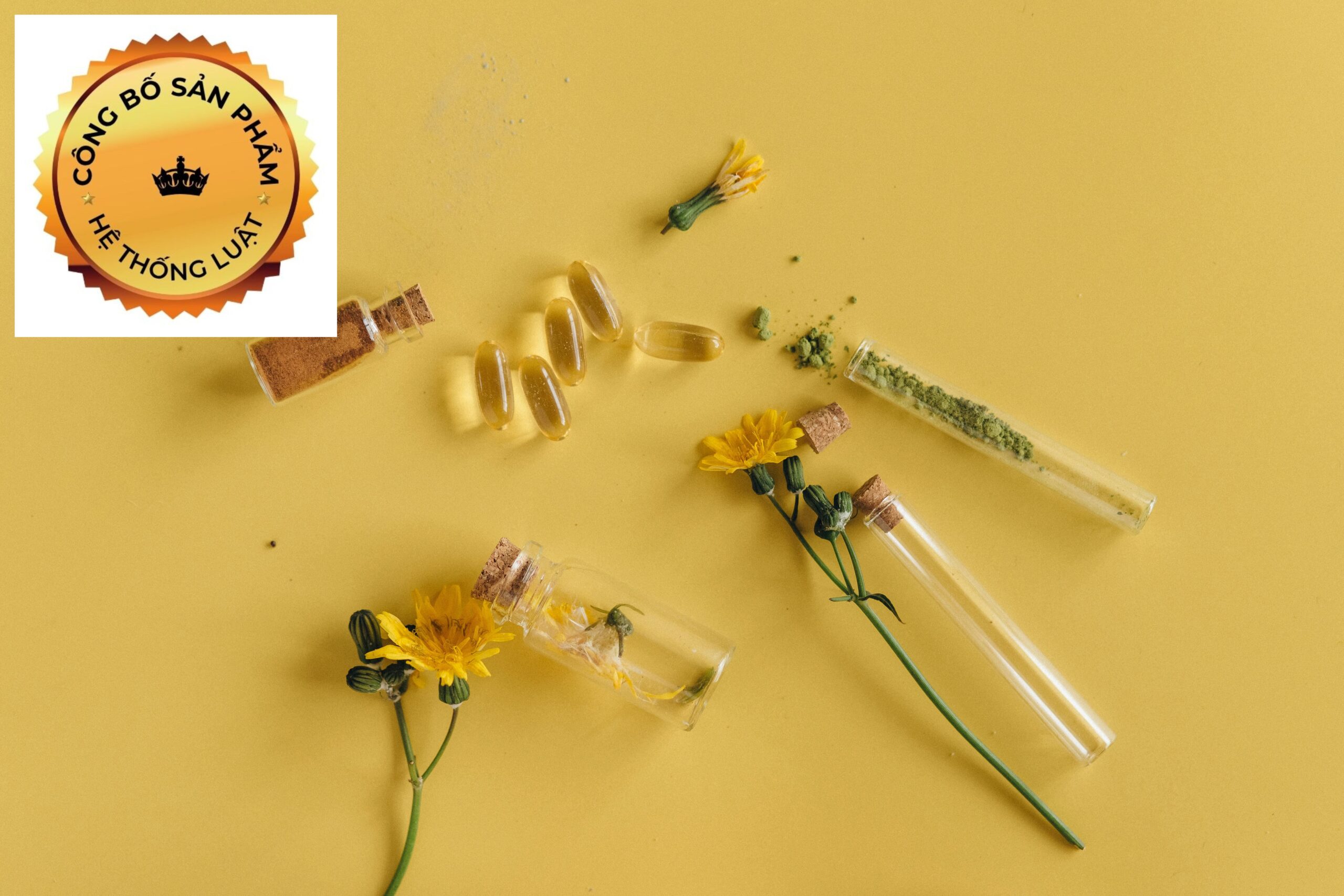 [TỰ CÔNG BỐ SẢN PHẨM] – Trọn gói dịch vụ đăng ký công bố dành cho thực phẩm chức năng hiện nay vùng phường Phố Hiến, Hưng Yên - Ảnh 2