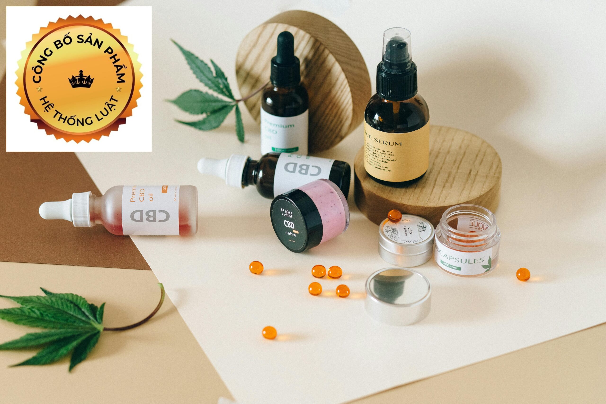 [XÃ TIÊN LỮ, HƯNG YÊN] – Trọn gói dịch vụ đăng ký công bố sản phẩm dành cho thực phẩm chức năng mới tại địa điểm xã Tiên Lữ, Hưng Yên - Ảnh 2