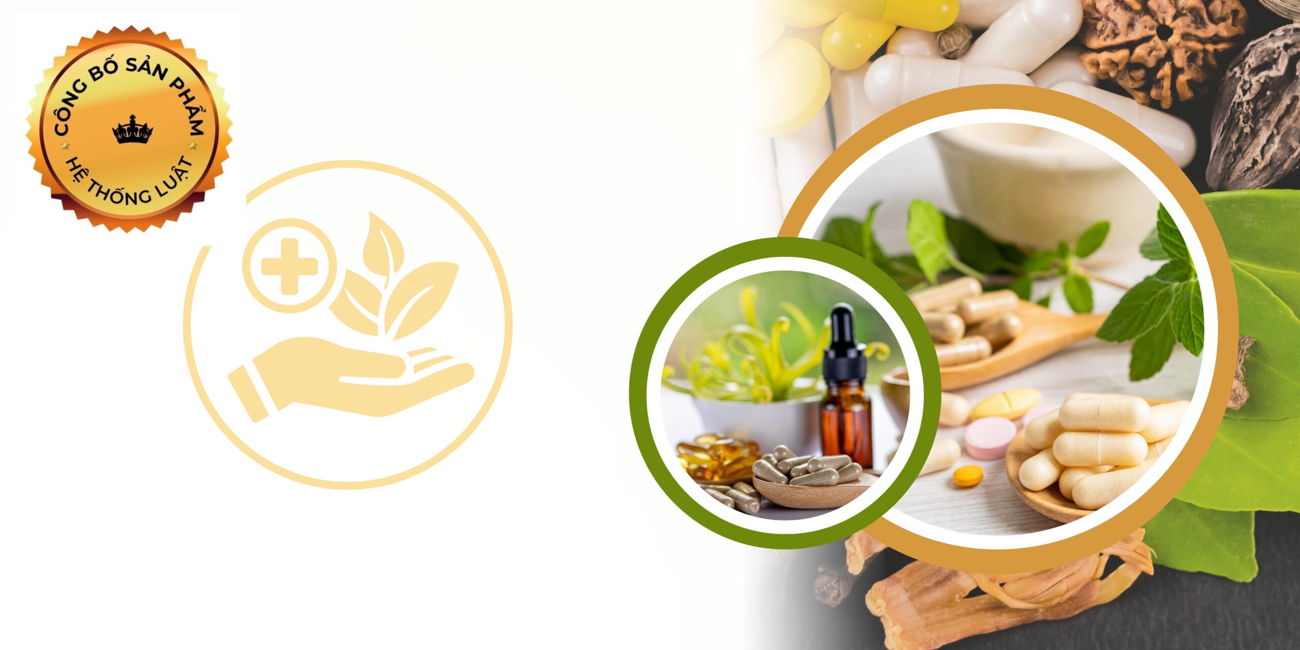 [XÃ TIÊN HOA, HƯNG YÊN] – Gói hỗ trợ  đăng ký công bố sản phẩm với sản phẩm thực phẩm chức năng mới vùng xã Tiên Hoa, Hưng Yên - Ảnh 2